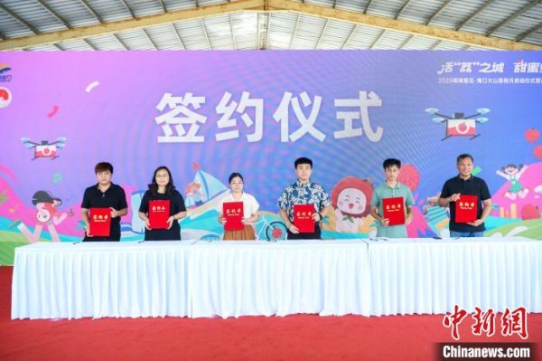 七界策略 2025海口火山荔枝月启动 现场签约金额2.2亿元