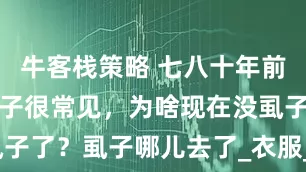 牛客栈策略 七八十年前，身上生虱子很常见，为啥现在没虱子了？虱子哪儿去了_衣服_农村_头发