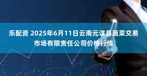 乐配资 2025年6月11日云南元谋县蔬菜交易市场有限责任公司价格行情