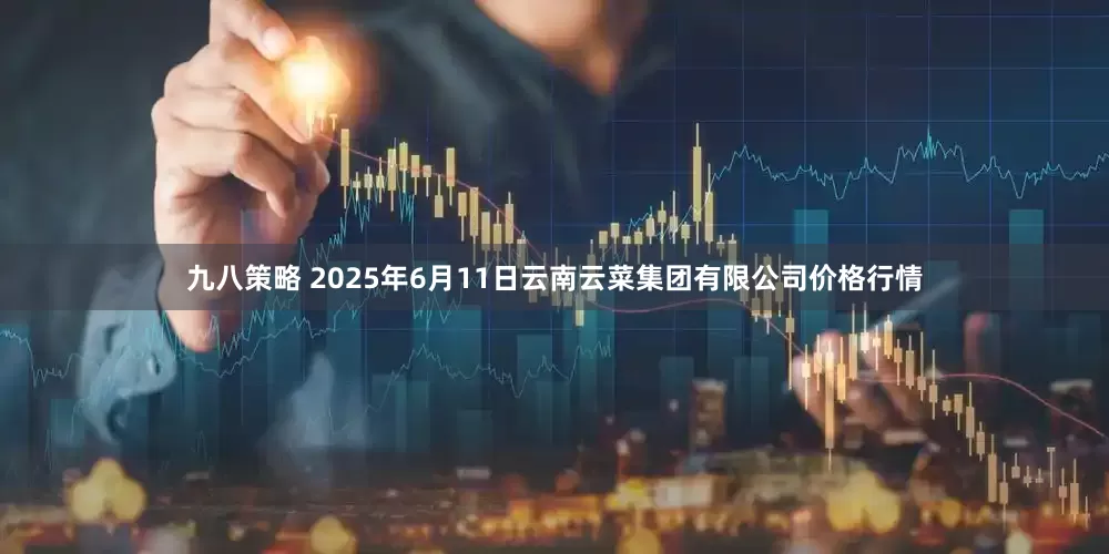 九八策略 2025年6月11日云南云菜集团有限公司价格行情